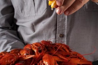 Живые раки: где и как купить для праздничного застолья?
