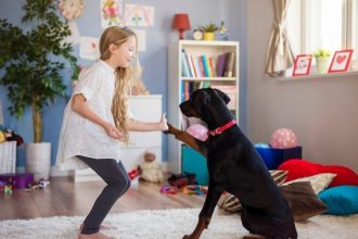 Школа дрессировки собак: программы и методы